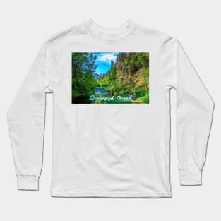 Spearfish Creek in the Black Hills Long Sleeve T-Shirt